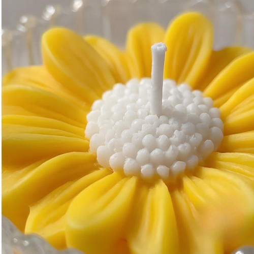 Daisy Jar Candle  300g